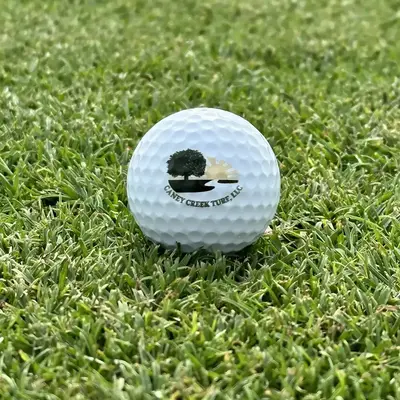 Golf Ball on Platinum TE Paspalum Grass