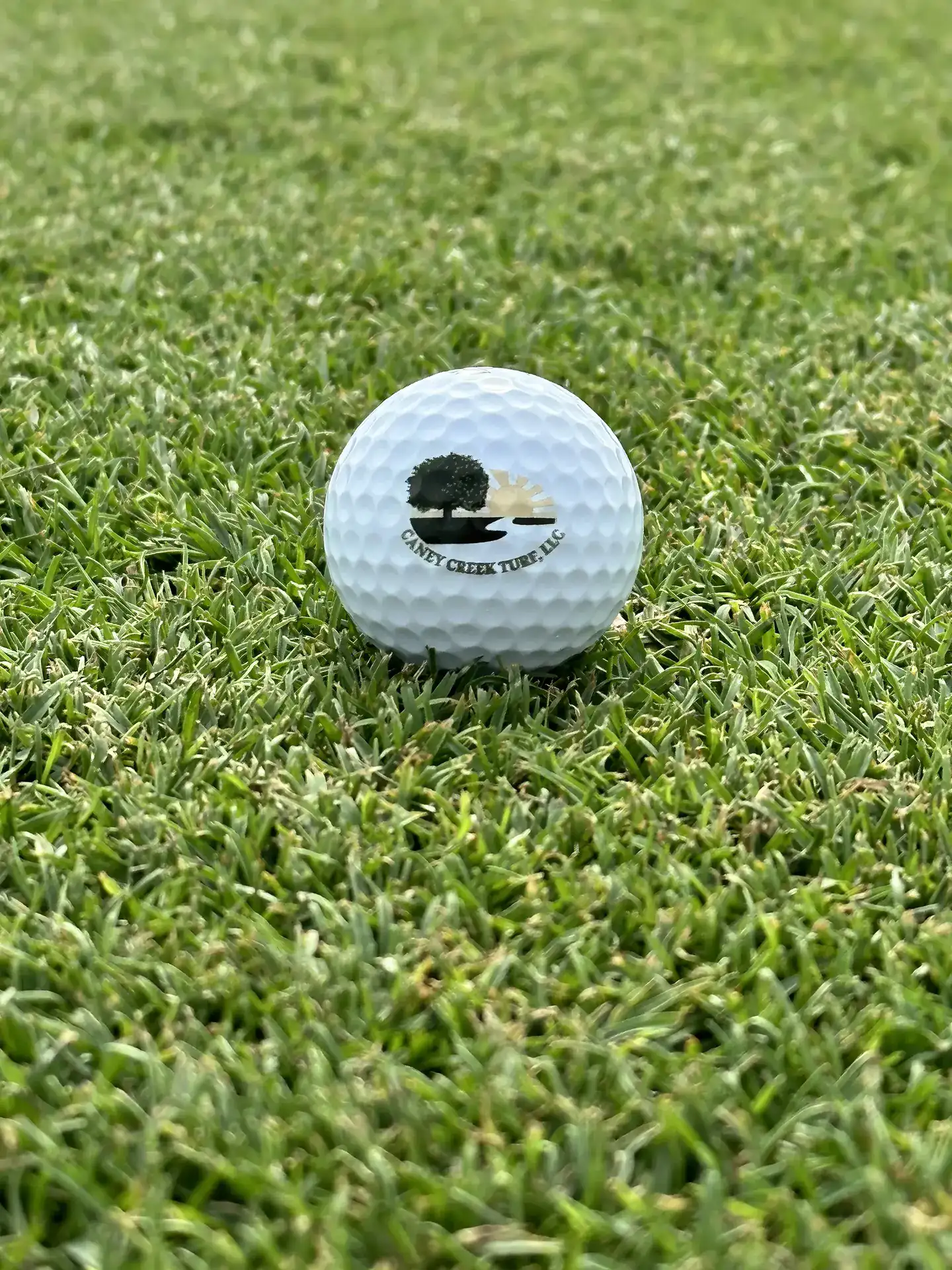 Golf Ball on Platinum TE Paspalum Grass
