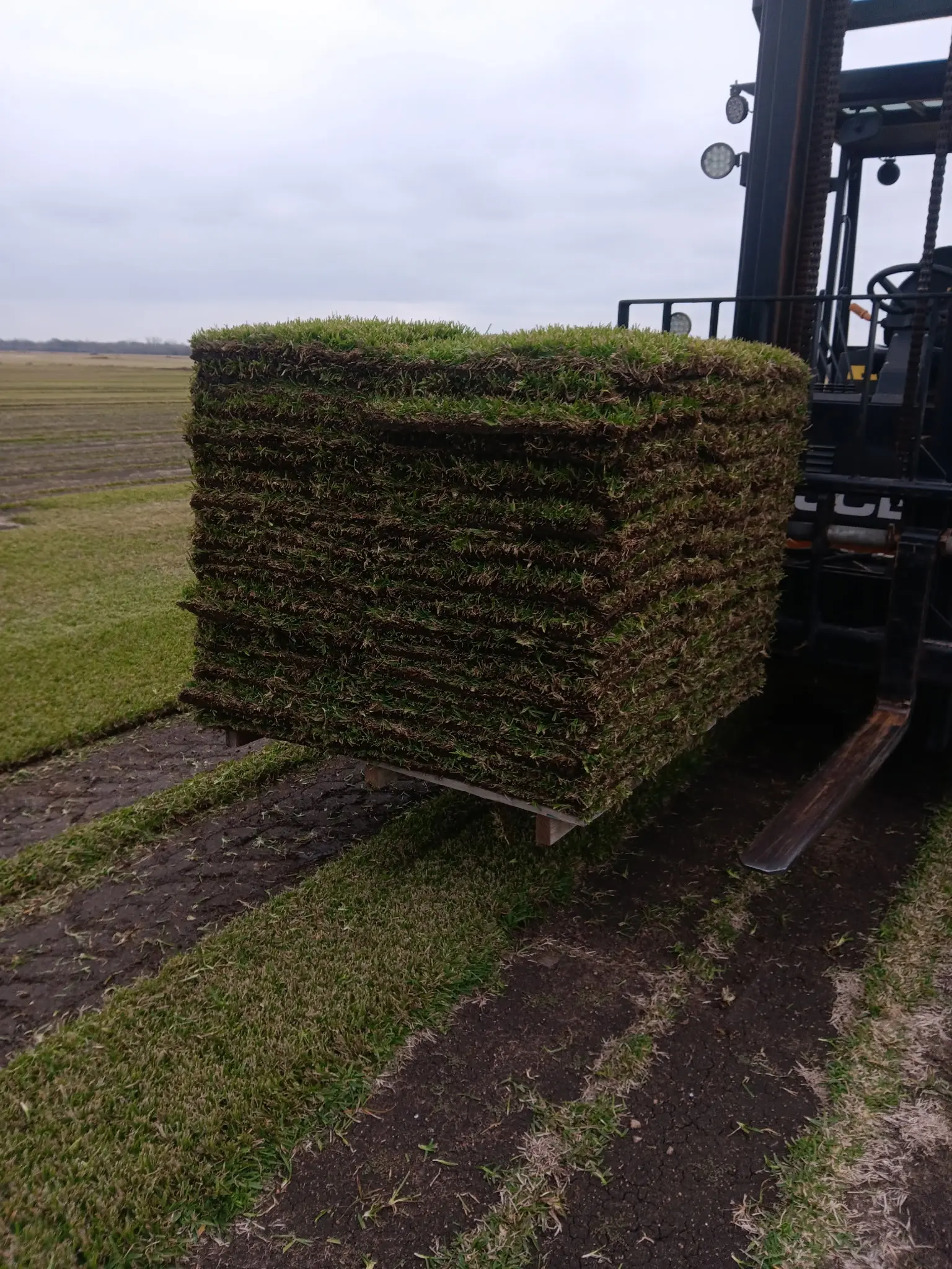 St. Augustine Pallet