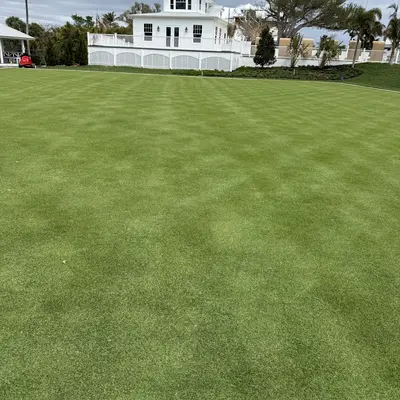 Durban Seashore Paspalum Lawn