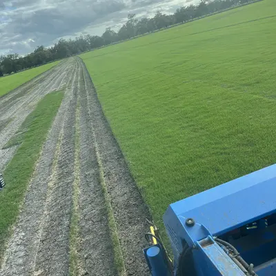 Iron Cutter Bermudagrass Field