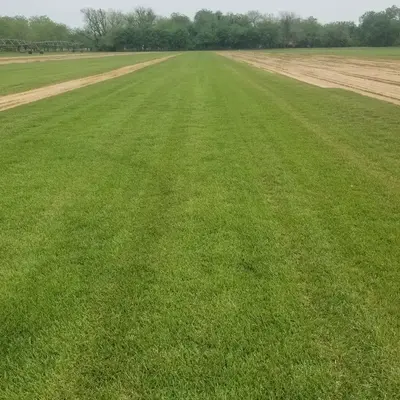 Palisades Zoysia Field