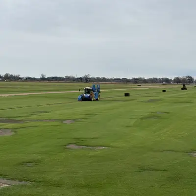 Palisades Zoysia Field