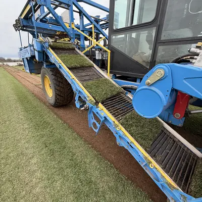 Palisades Zoysia Harvesting