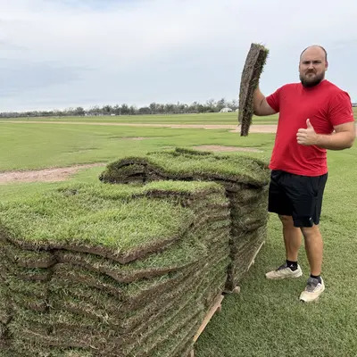 Palisades Zoysia Pallet