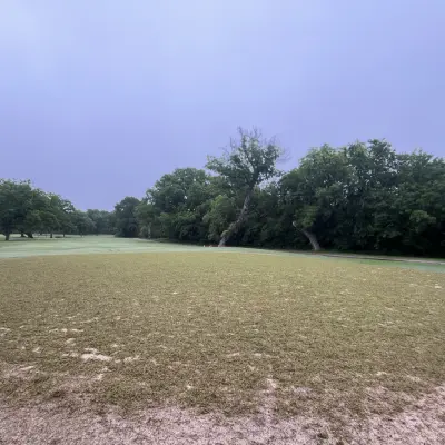 Platinum TE Paspalum Sprigs - Immediately After Planting
